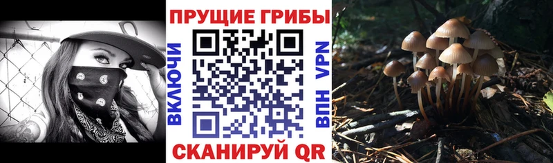 Галлюциногенные грибы мицелий  Долгопрудный 